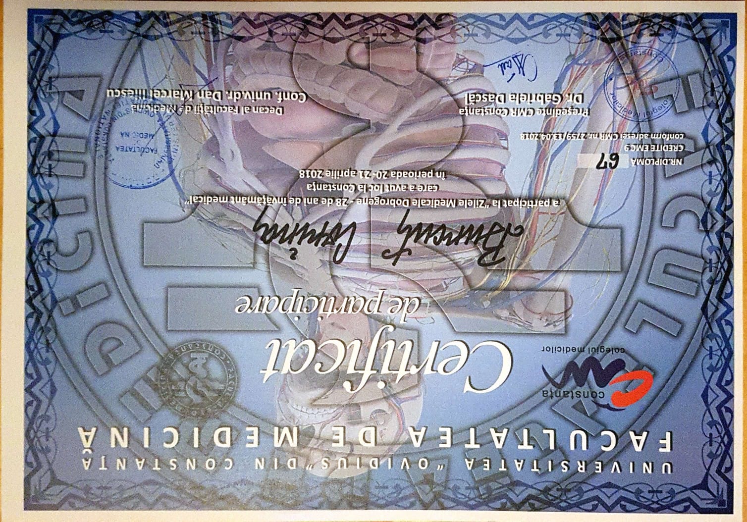 Diploma
